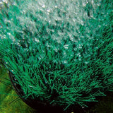 Oase OxyTex Biofilter and Air Diffuser