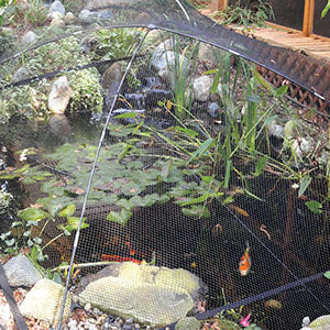 Atlantic Pond & Garden Protector