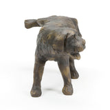 Aquascape - Naughty Dog Spitter