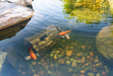 Aquascape - Faux Log Fish Cave