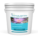 Aquascape Beneficial Bacteria Concentrate - Dry