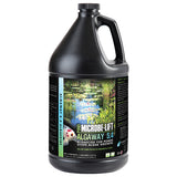 Microbe-Lift Algaway 5.4 (Algaecide)