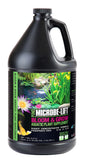 Microbe-Lift Bloom & Grow (Aquatic Plant Supplement)