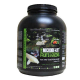 Microbe-Lift Fruits and Greens Floating Sticks Fish Food