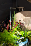 Aquascape AquaGarden Plant Light (New)