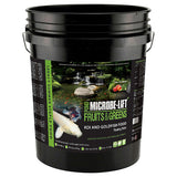 Microbe-Lift Fruits and Greens Floating Sticks Fish Food