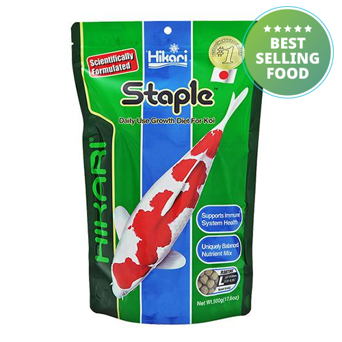 HIKARI STAPLE Daily Use Growth Diet (Large Pellet 7.2-9.0 mm)