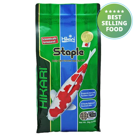 HIKARI STAPLE Daily Use Growth Diet (Large Pellet 7.2-9.0 mm)