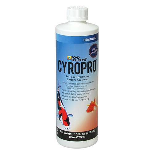 Hikari CryoPro