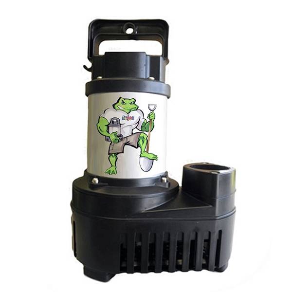 Anjon Big Frog Eco-Drive Pumps