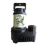 Anjon Big Frog Eco-Drive Pumps