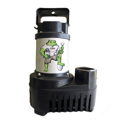 Anjon Big Frog Eco-Drive Pumps