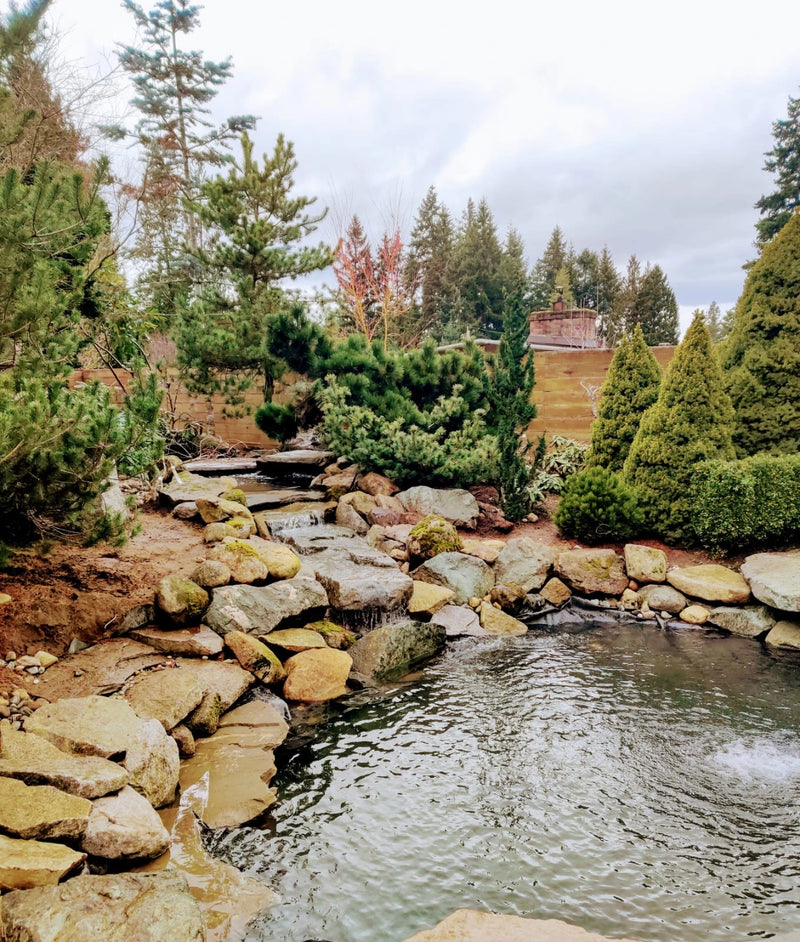 Pond Installation With Waterfall