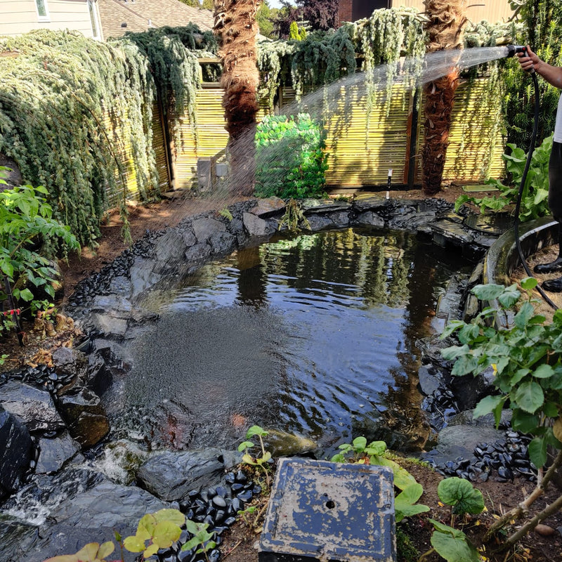 Pond with Waterfall