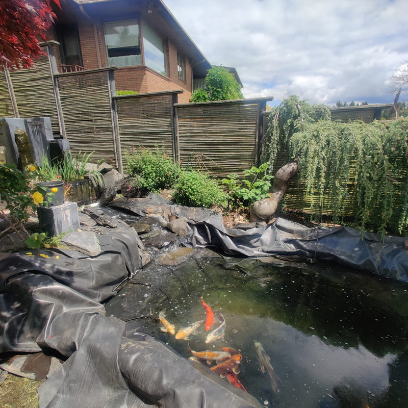 Pond with Waterfall