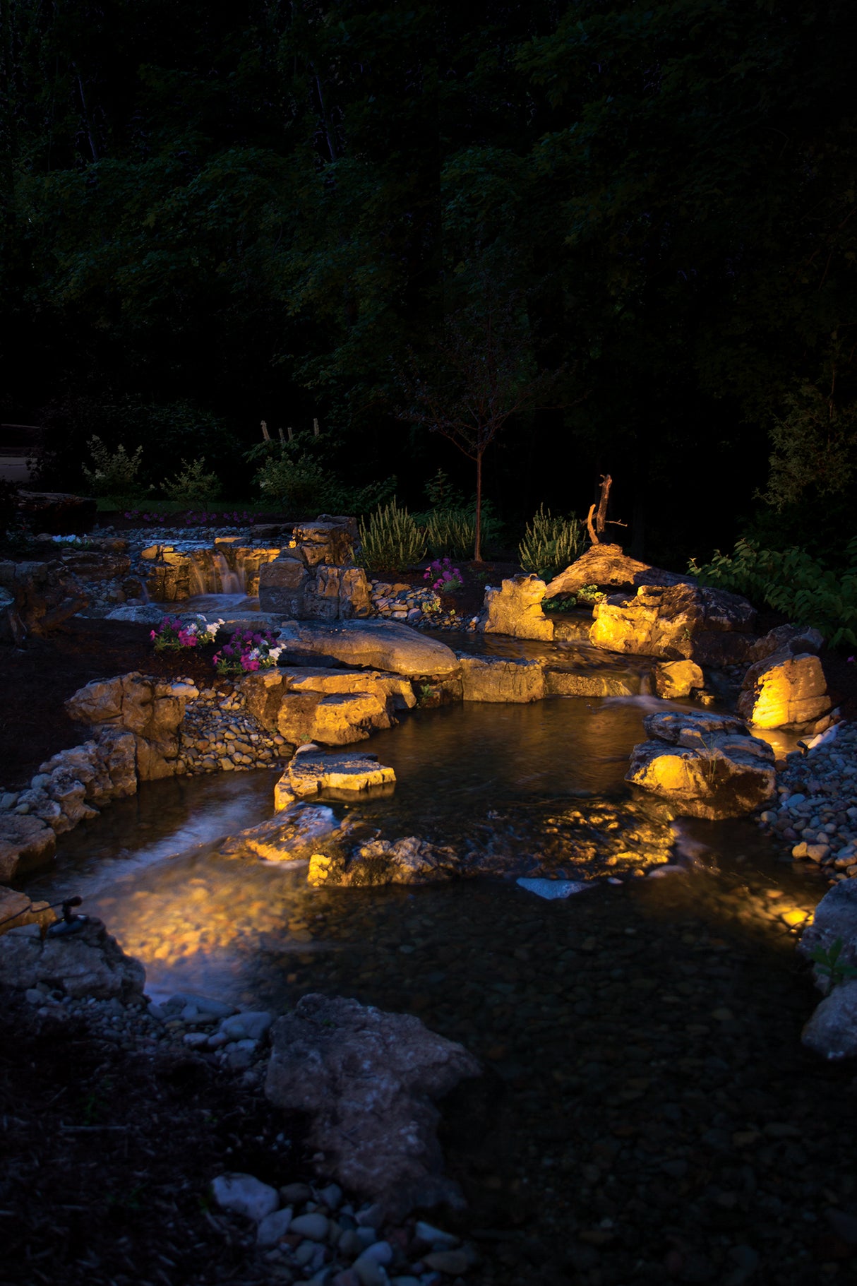 Atlantic Pond Light Kits (Single Light & 3-Lights) (Warm White & Color Changing)