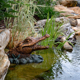 Aquascape - Alligator Spitters