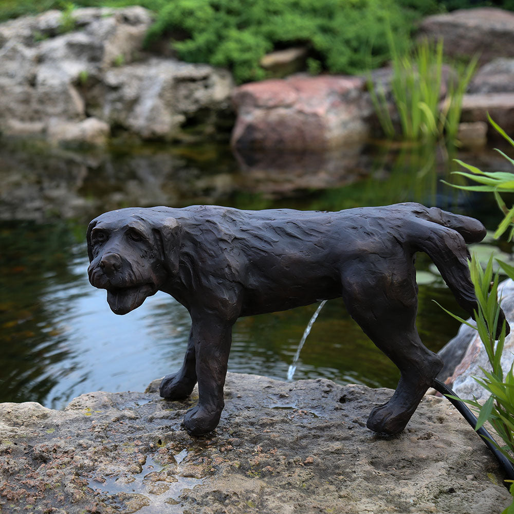 Aquascape - Naughty Dog Spitter