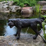 Aquascape - Naughty Dog Spitter