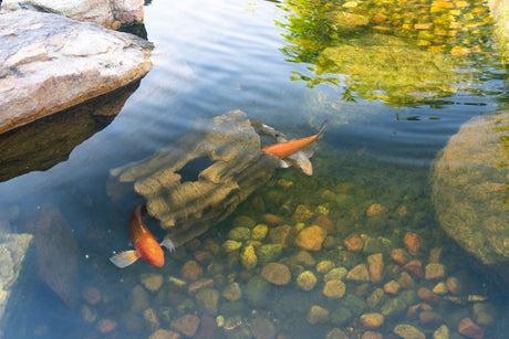 Aquascape - Faux Log Fish Cave