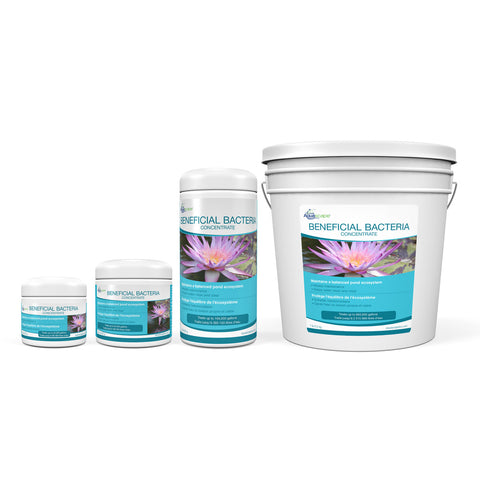 Aquascape Beneficial Bacteria Concentrate - Dry