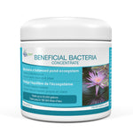 Aquascape Beneficial Bacteria Concentrate - Dry