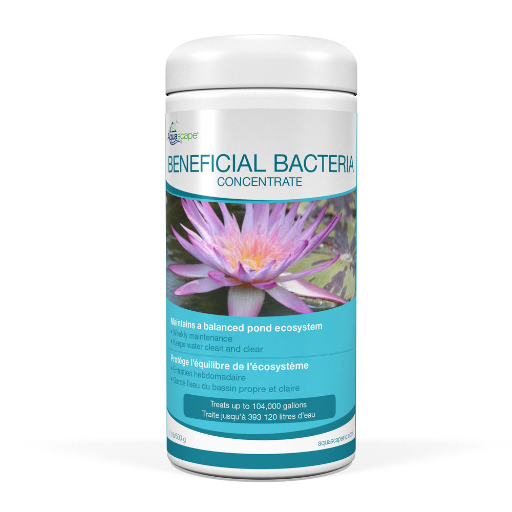 Aquascape Beneficial Bacteria Concentrate - Dry