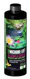 Microbe-Lift Bloom & Grow (Aquatic Plant Supplement)
