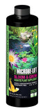 Microbe-Lift Bloom & Grow (Aquatic Plant Supplement)