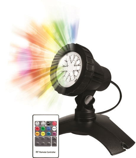 Starter Light