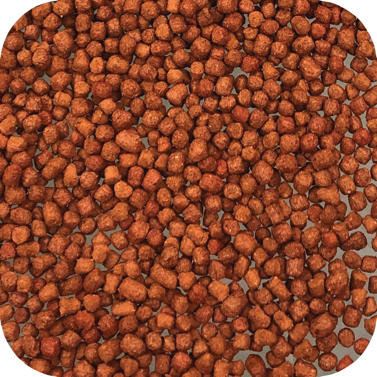 Microbe-Lift Legacy Summer Staple Fish Food