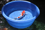 Matala Koi Viewing Bowls
