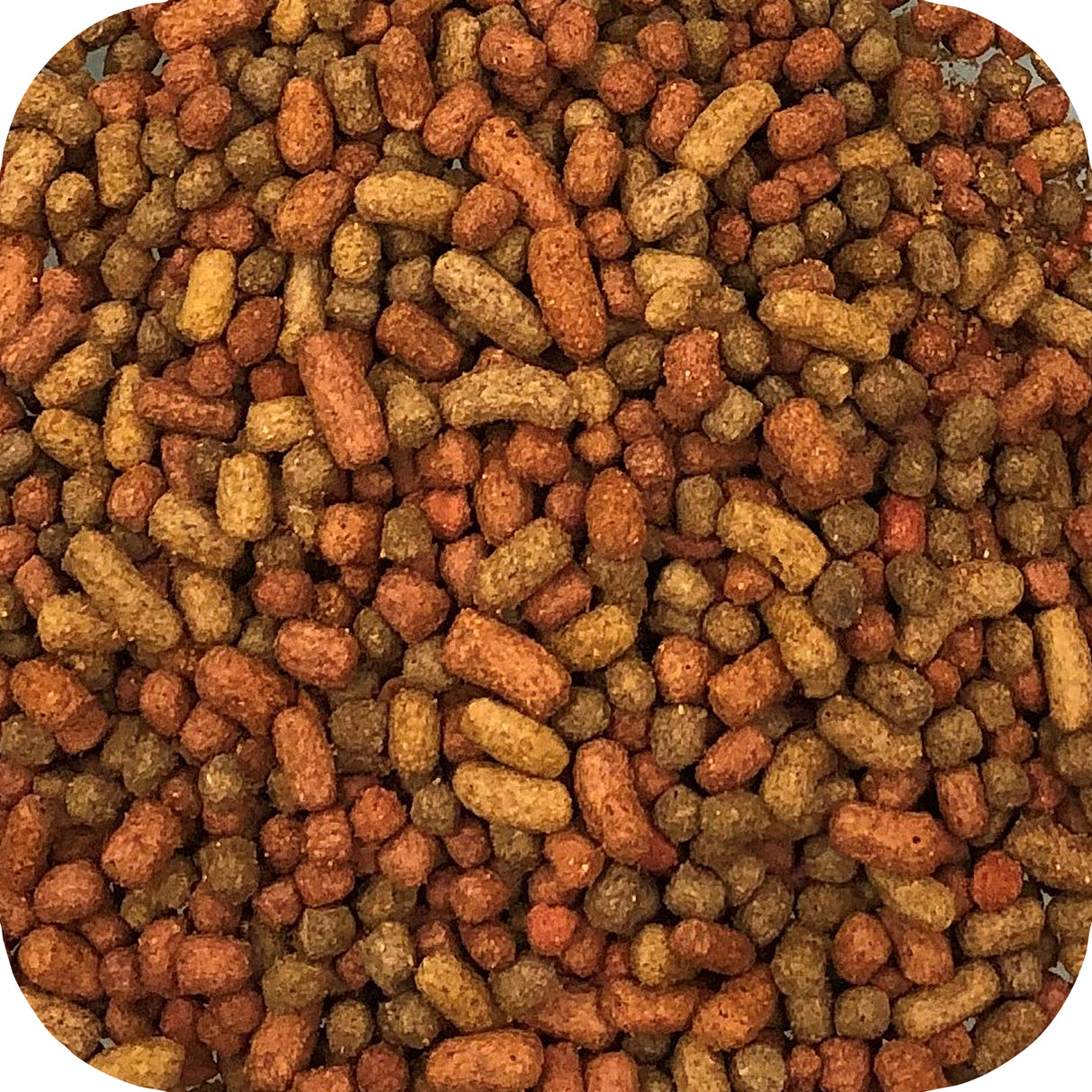 Microbe-Lift Legacy Variety Mix Fish Food